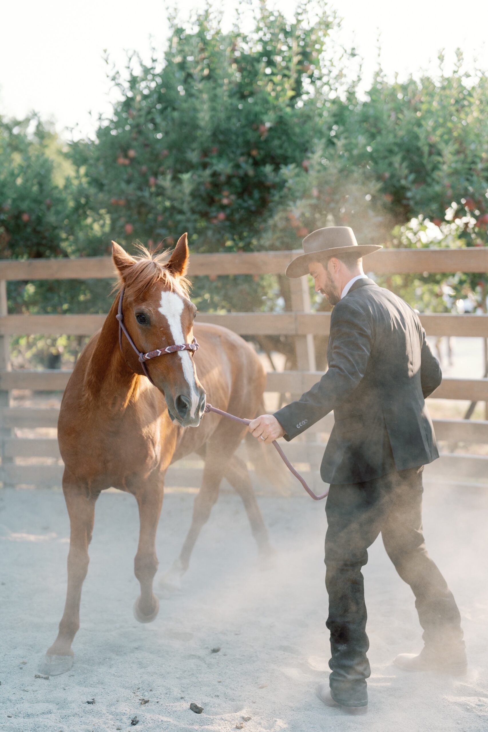 western wedding with horses photographed by Natasha Lozanoff