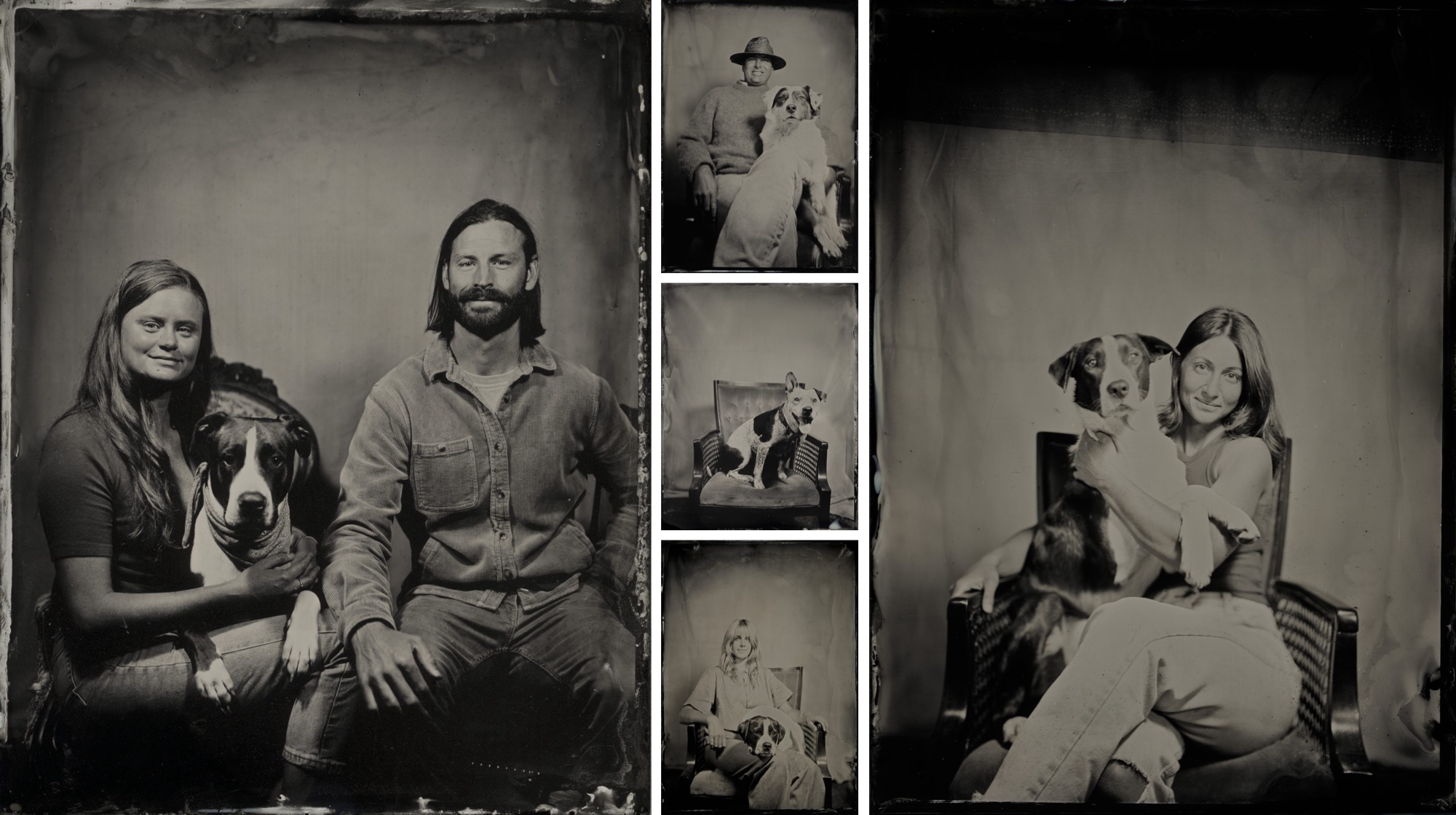 Tin type photography with dogs and pets