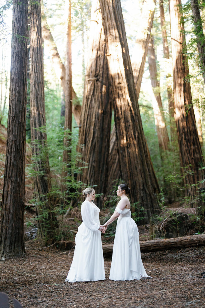 LGBTQ Big Sur Wedding in the redwoods