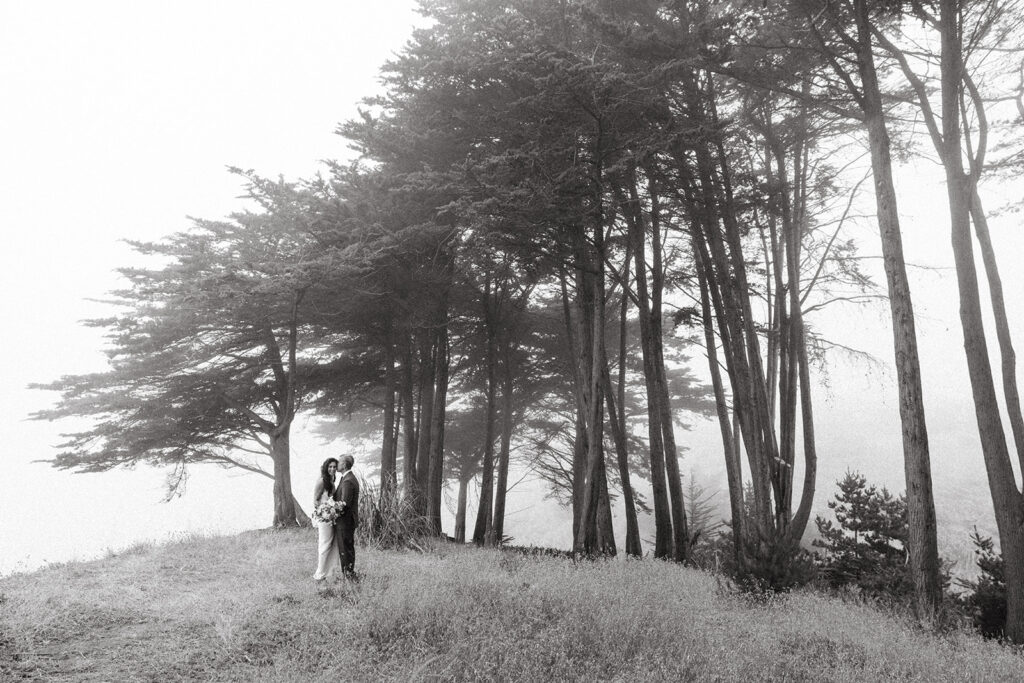 Destination wedding black and white photo of a bride and group along the cyprus trees on the california coast