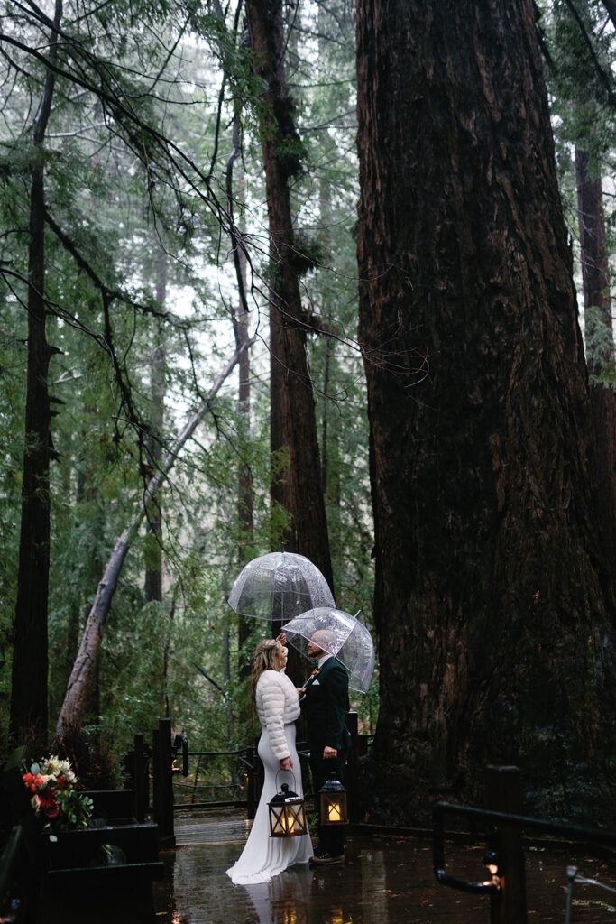Elopement in the rain at big sur pfeiffer state park under the redwoods