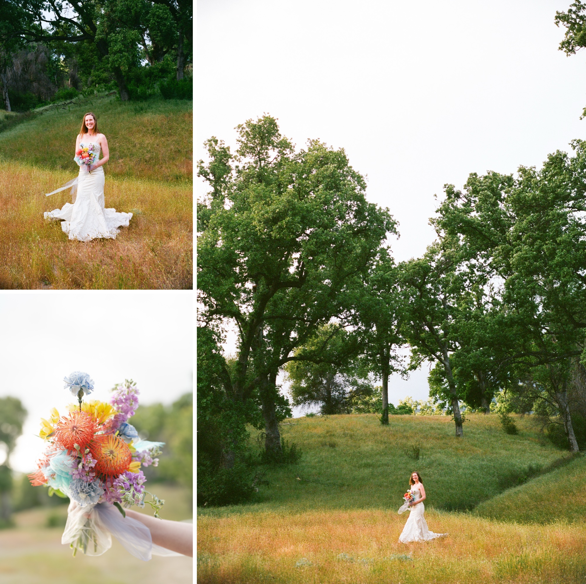 Rolling Oak Hills Coastal California Big Sur elopement in AW Bridal Minerva Wedding Dress