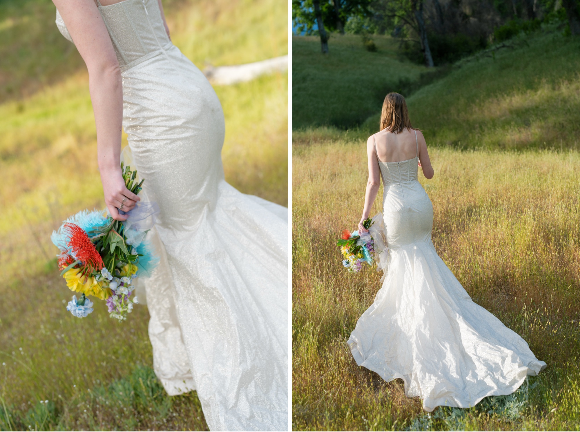 Rolling Oak Hills Coastal California Big Sur elopement in AW Bridal Minerva Wedding Dress